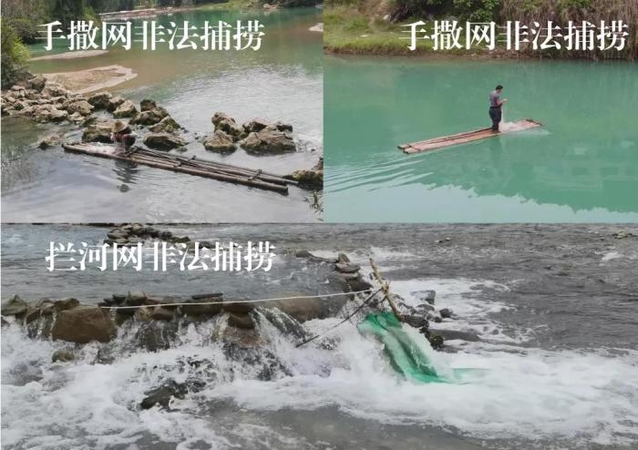 2021年9—10月，前期暗查發(fā)現(xiàn)，保護區(qū)核心區(qū)內(nèi)非法捕撈行為十分猖獗