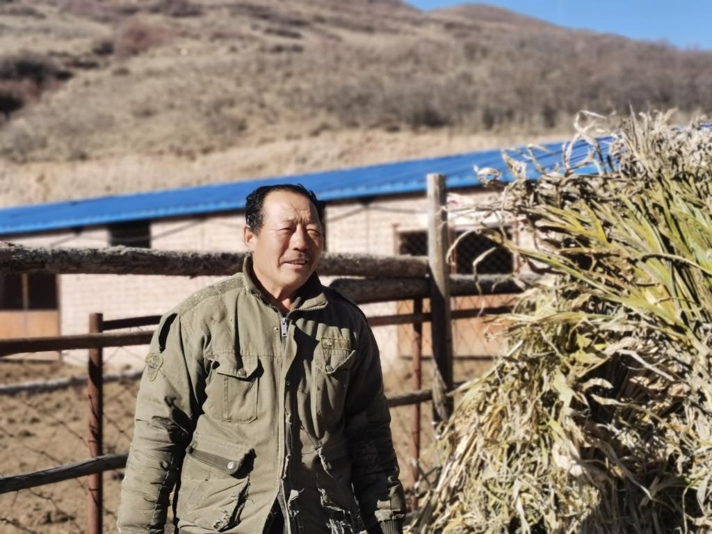 1月19日，山西省岢嵐縣脫貧戶呂如堂在牛圈前準備草料。新華社記者 梁曉飛 攝