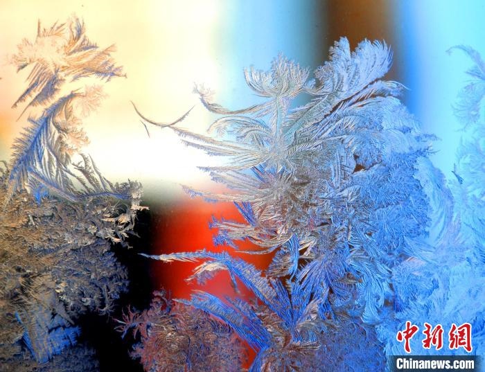 冰窗花千姿百態(tài)。　孫書程 攝