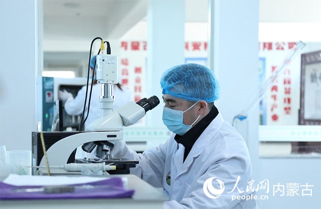 內(nèi)蒙古中農(nóng)興安種?？萍加邢薰韭鋺艨朴抑衅欤瑸槿馀．a(chǎn)業(yè)發(fā)展提供了優(yōu)質(zhì)的種源保障。白俊華攝