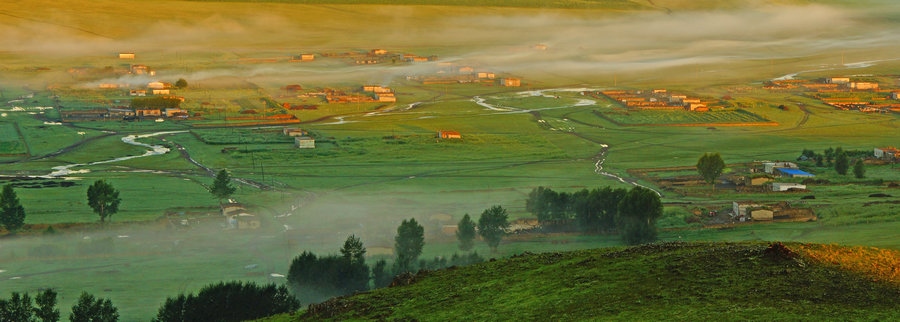 在“螞蟻森林”項(xiàng)目區(qū)，群眾攜手共添新綠（攝影：刁博禹）.jpg