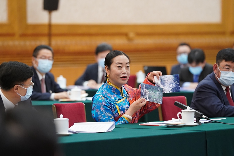 2021年3月7日，習(xí)近平總書記在參加十三屆全國(guó)人大四次會(huì)議青海代表團(tuán)審議時(shí)，全國(guó)人大代表孔慶菊在會(huì)上展示了兩張照片，上面分別是祁連山地區(qū)多年不見蹤跡的雪豹和荒漠貓。
