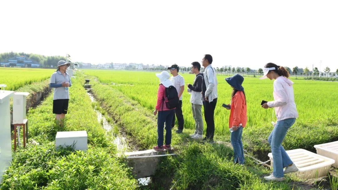 △云南大理古生村科技小院成員在田間調(diào)查。