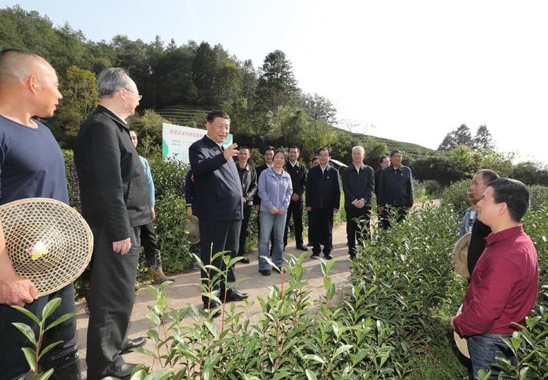 2021年3月22日，習(xí)近平總書記在福建南平武夷山市星村鎮(zhèn)燕子窠生態(tài)茶園，同科技特派員、茶農(nóng)親切交流，了解當(dāng)?shù)夭璁a(chǎn)業(yè)發(fā)展情況。