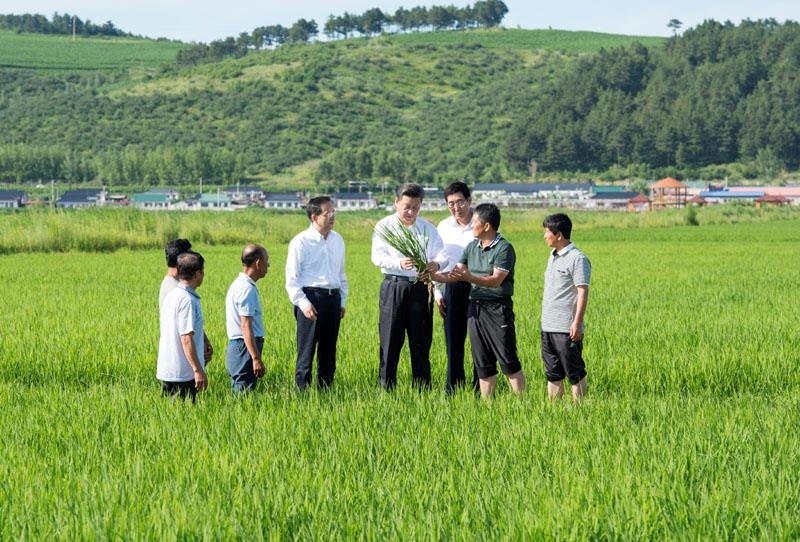 2015年7月16日，習(xí)近平總書記在吉林延邊州光東村稻田同村民和農(nóng)技人員交流。