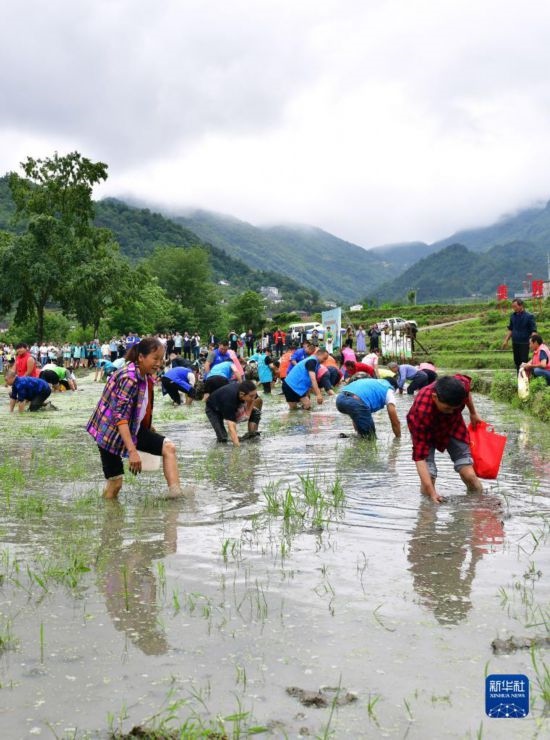 5月27日，秭歸縣九畹溪鎮(zhèn)農(nóng)民參加摸魚(yú)比賽。