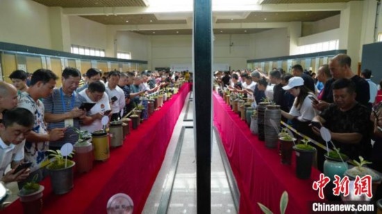 圖為活動現(xiàn)場。 云南省委臺辦供圖