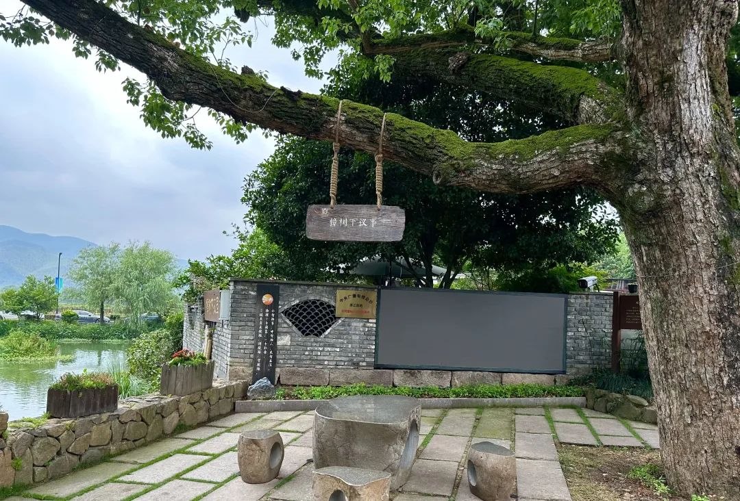 浙江省杭州市余杭區(qū)小古城村的“樟樹下議事”木制字牌。靜玄 攝