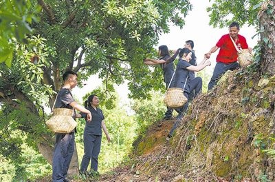 村民幫助志愿者爬上山坡。