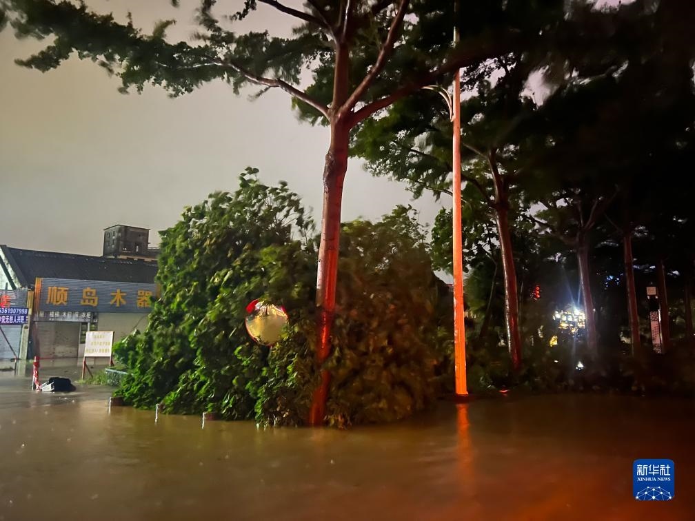 7月17日晚，在廣東湛江海濱大道北，路邊的樹木被風(fēng)刮倒（手機照片）。新華社記者 鄧華 攝