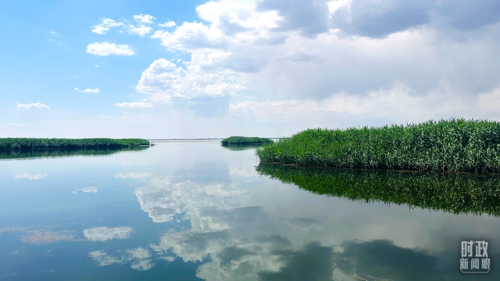 內(nèi)蒙古烏梁素海，是黃河流域最大的湖泊濕地。（總臺央視記者范一鳴拍攝）