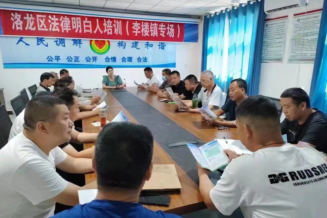 河南省洛陽市洛龍區(qū)李樓司法所開展《民法典》專題普法講座暨“法律明白人”培訓(xùn)。河南省司法廳供圖