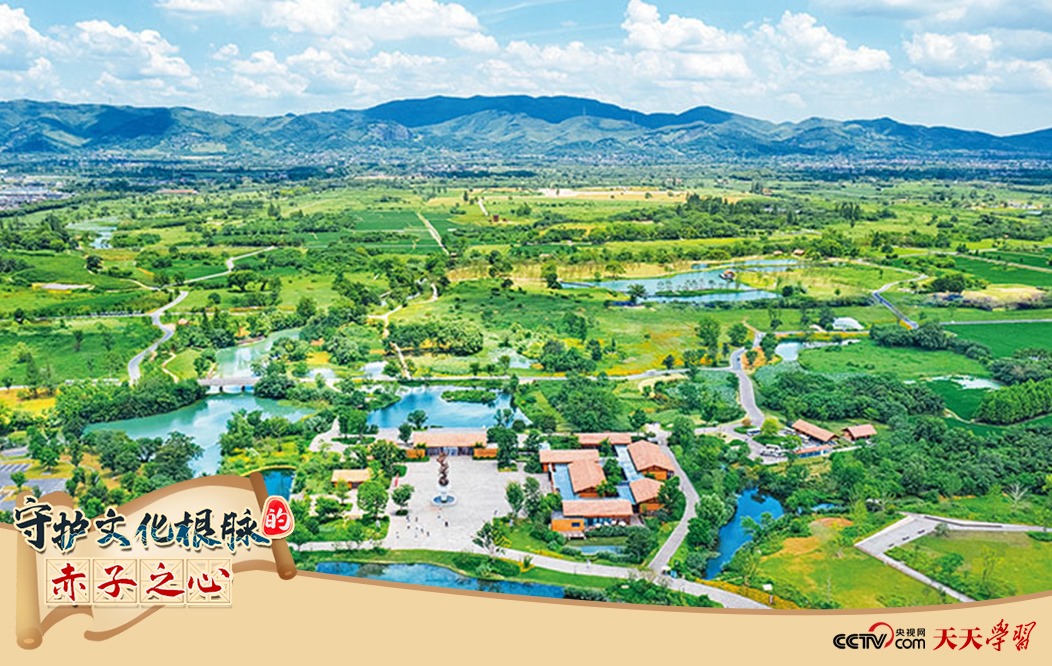圖為2021年7月拍攝的良渚古城遺址公園。