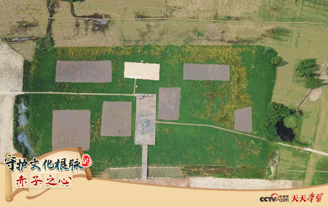 2019年6月23日無人機(jī)拍攝的良渚國(guó)家考古遺址公園的宮殿區(qū)。