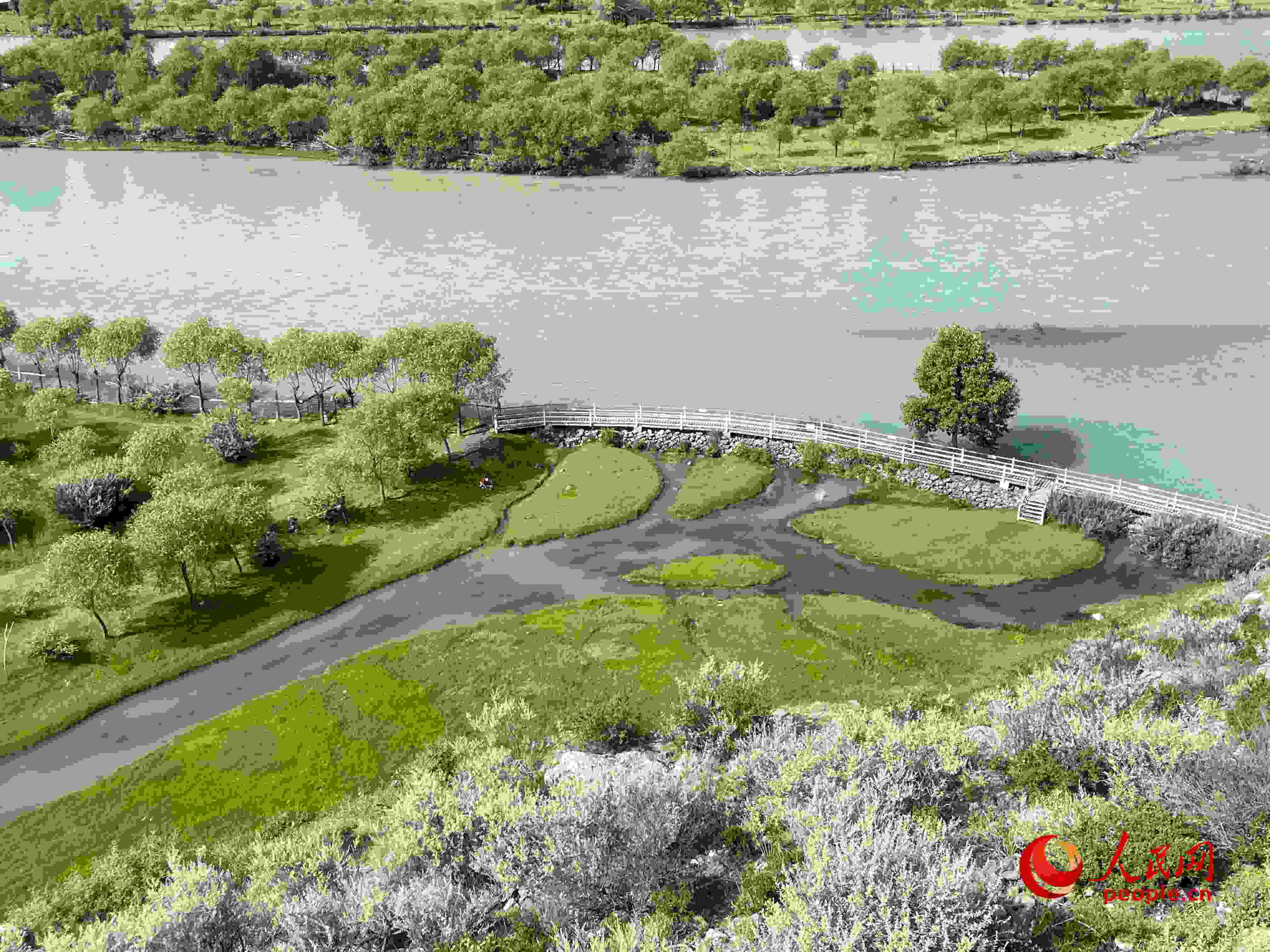 夏日的雅尼國家濕地公園生機(jī)盎然，如詩如畫。人民網(wǎng) 周靜圓攝