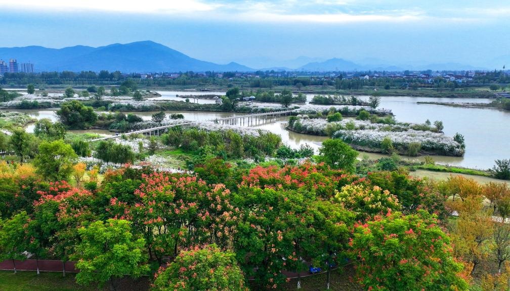 2022年10月11日拍攝的天漢濕地公園景色。新華社發(fā)（宋曉麗 攝）