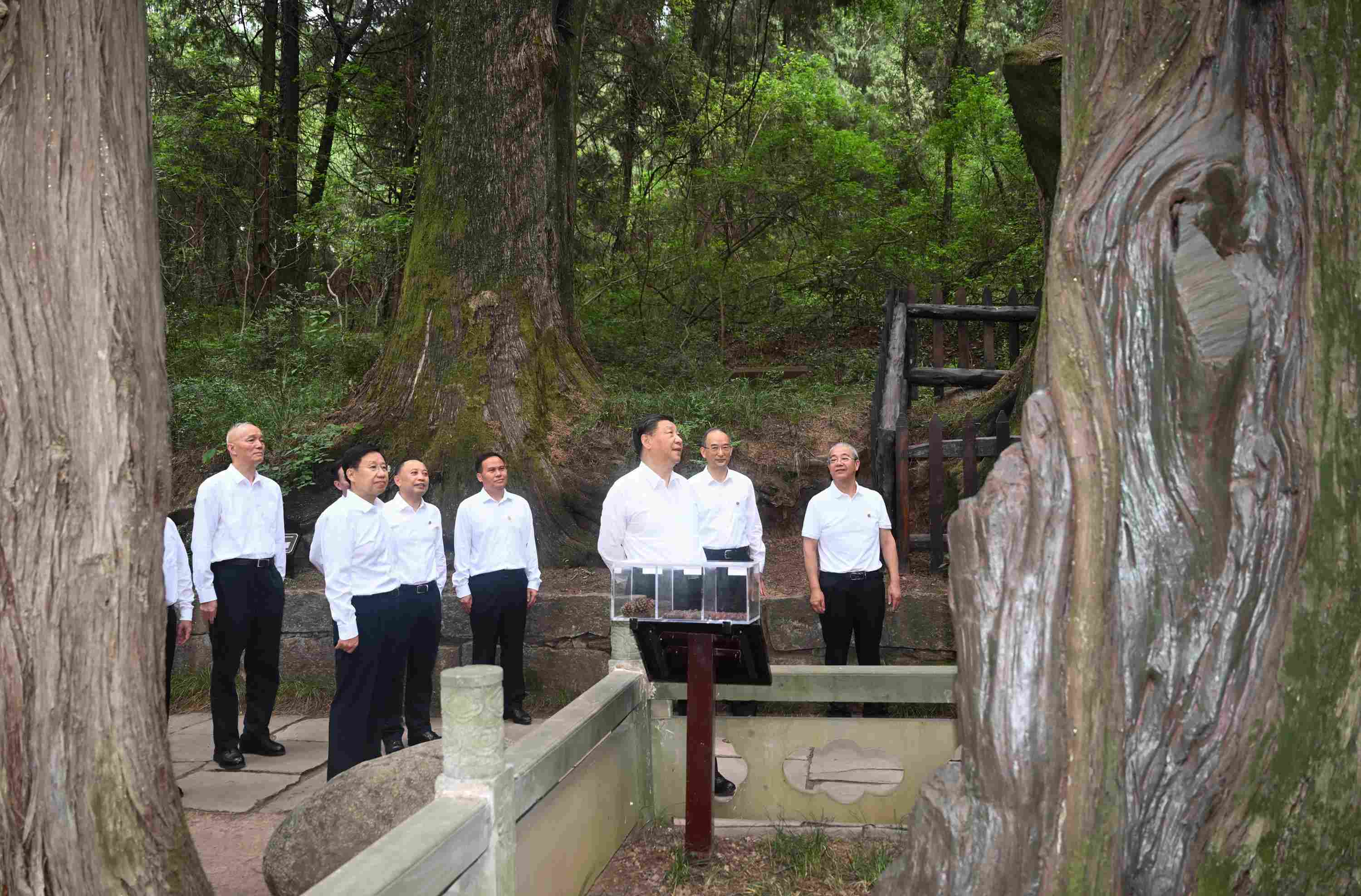 △2023年7月25日，習(xí)近平總書記在四川省廣元市考察了翠云廊古蜀道，了解當(dāng)?shù)赝七M(jìn)歷史文化傳承、加強(qiáng)生態(tài)文明建設(shè)等情況。