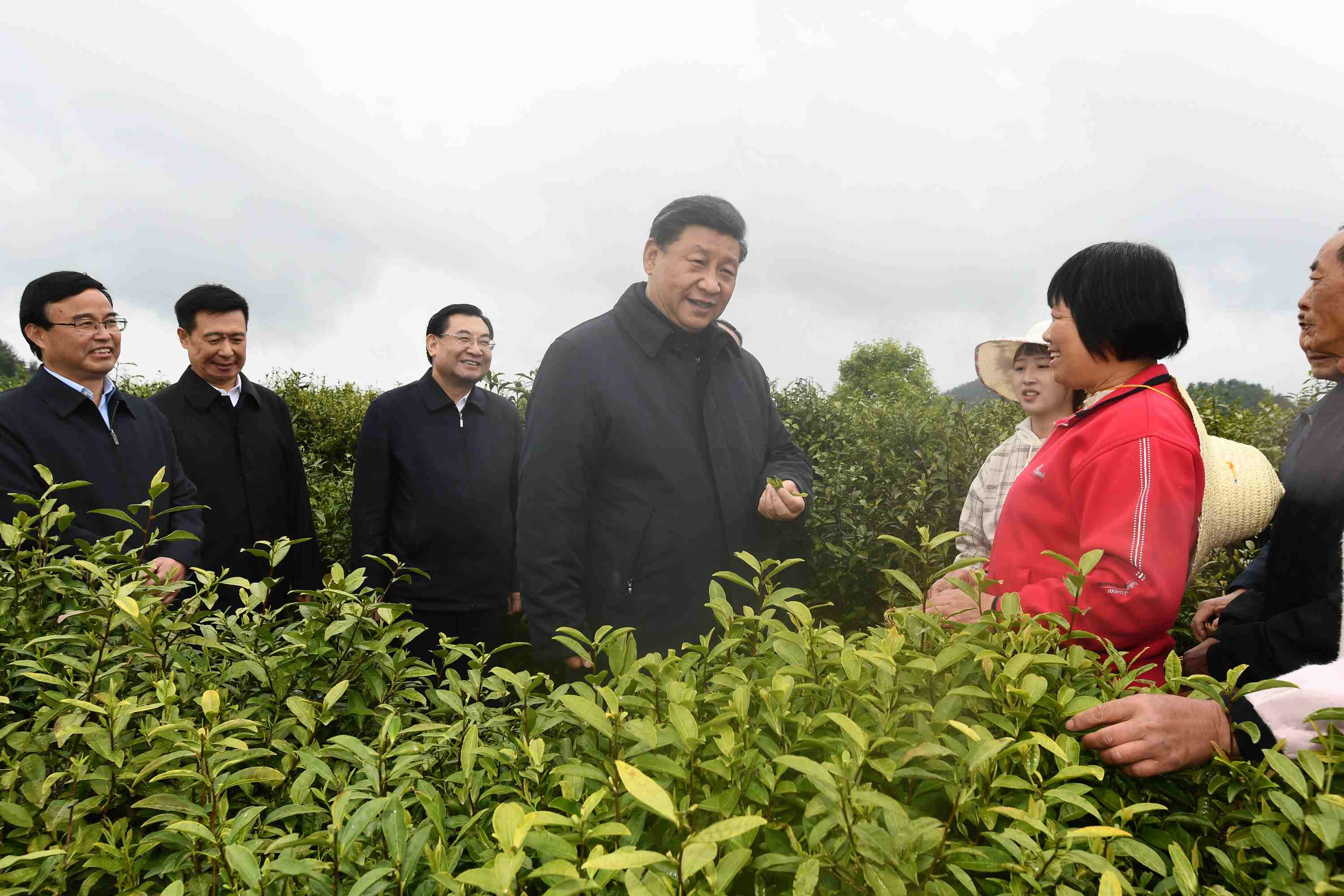 4月20日至23日，中共中央總書記、國家主席、中央軍委主席習(xí)近平在陜西考察。這是4月21日，習(xí)近平在安康市平利縣老縣鎮(zhèn)蔣家坪村女媧鳳凰茶業(yè)現(xiàn)代示范園區(qū)，同茶農(nóng)們親切交談。