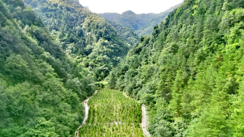 建設(shè)中的西氣東輸三線中段。受訪者供圖