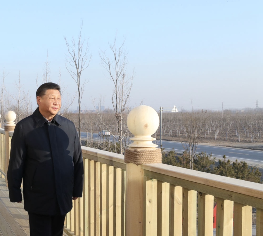2019年1月16日，習(xí)近平在河北雄安新區(qū)考察調(diào)研。在“千年秀林”大清河片林一區(qū)造林區(qū)域，習(xí)近平登上秀林驛站二層平臺(tái)遠(yuǎn)眺林區(qū)全貌。