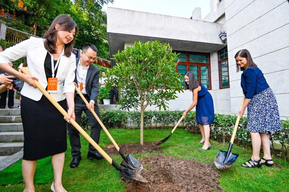 2023年8月8日，重慶史迪威博物館，史迪威將軍后代和朱德同志后代共植友誼樹(shù)。