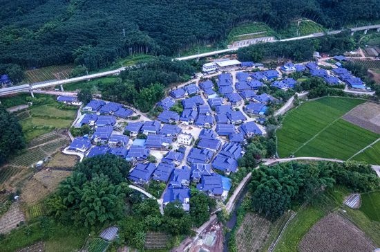 磨憨鎮(zhèn)曼莊村大龍哈小組現(xiàn)代化邊境幸福村新貌。人民網(wǎng)記者 符皓攝