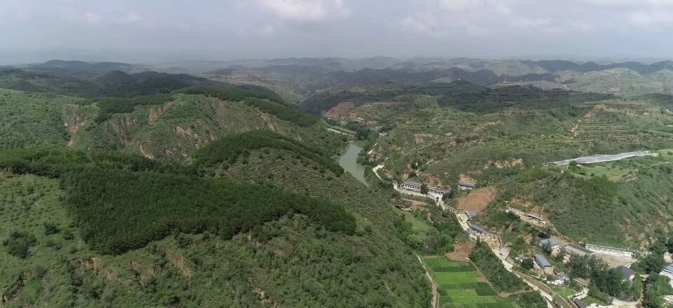 黃土溝壑中的高西溝村滿眼綠色（無(wú)人機(jī)照片，2023年7月26日）。新華社記者陳昌奇 攝