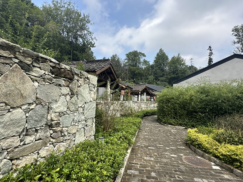 眾多民宿坐落于夫子山山麓。人民網(wǎng) 王紹紹攝