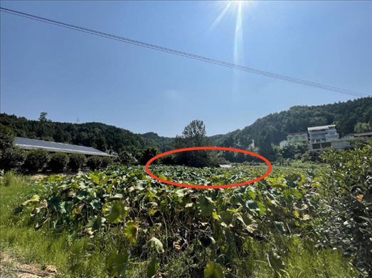 曾經(jīng)的圣水園所在地。 人民網(wǎng)記者 楊喬攝