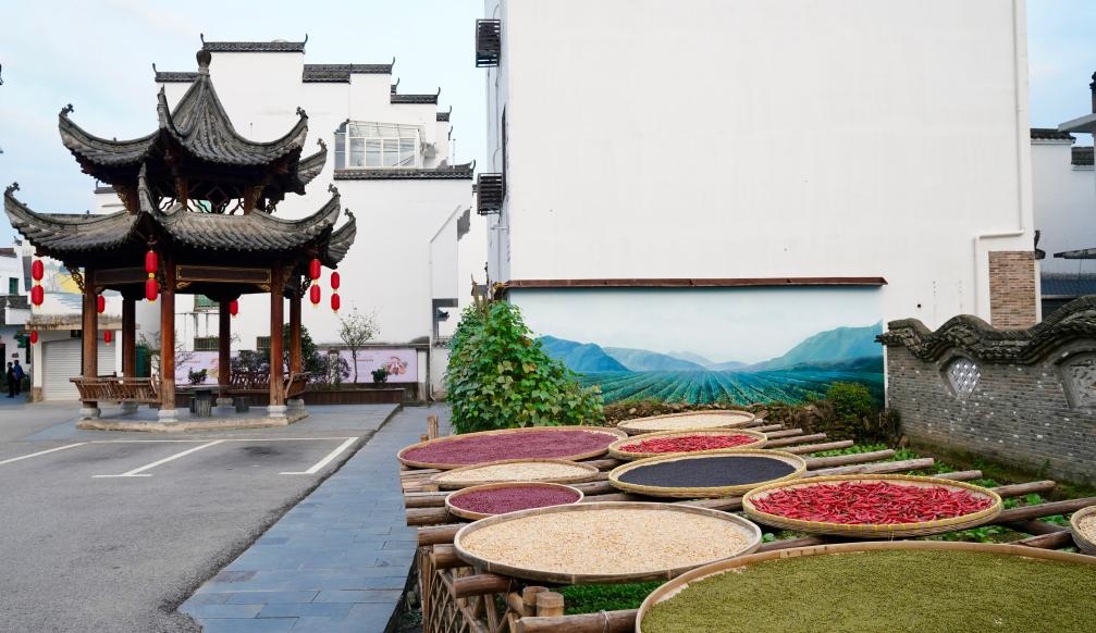 近日拍攝的江西省上饒市婺源縣秋口鎮(zhèn)王村石門自然村曬秋場(chǎng)景。新華社記者 胡晨歡 攝