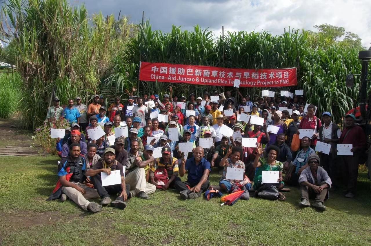 △2020年12月17日，在巴布亞新幾內(nèi)亞東高地省，參加中國援助巴新菌草和旱稻技術(shù)項目第9期培訓班的當?shù)孛癖娬故窘Y(jié)業(yè)證書。
