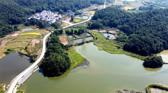 楊金龍用手機拍攝的道路全景。受訪者供圖