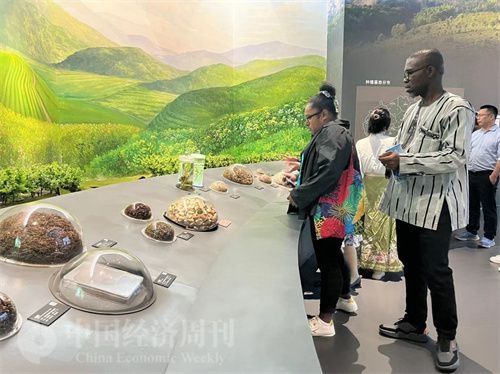  （在中國藥都中醫(yī)藥博物館，外媒記者了解中醫(yī)藥發(fā)展史。中國經(jīng)濟周刊記者 郭志強 攝）
