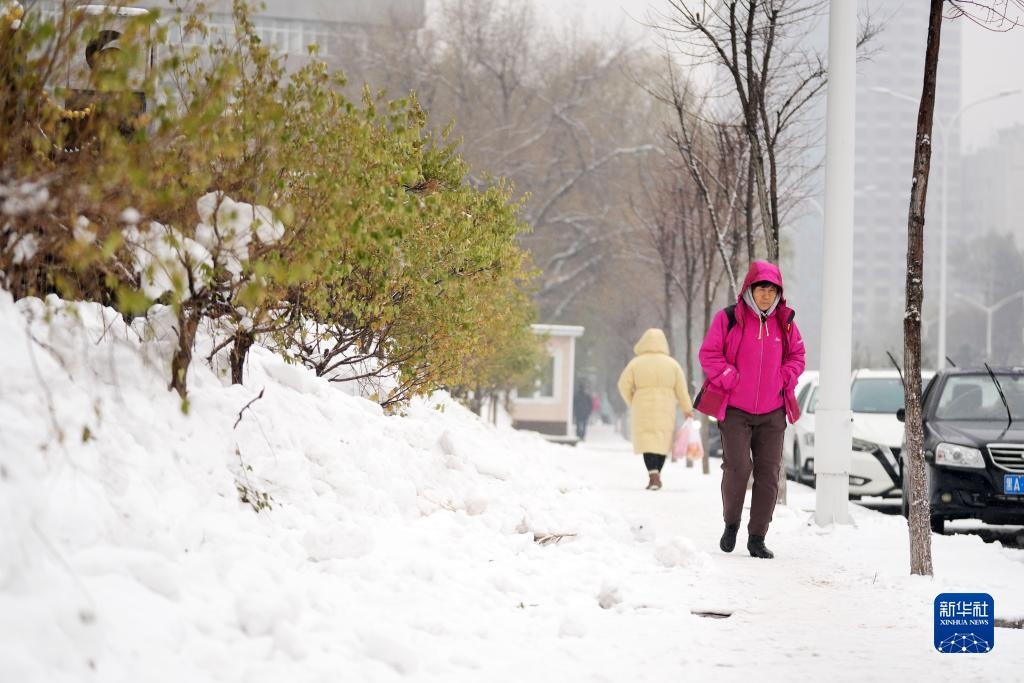 11月16日，市民在雪中前行。當(dāng)日，黑龍江哈爾濱市迎來雨雪天氣。新華社記者 王建威 攝