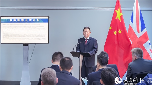 武漢市人大常委會(huì)副主任龍良文致辭。人民網(wǎng) 郭錦標(biāo)攝