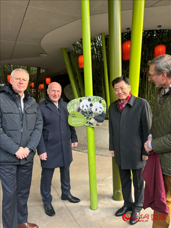 中國駐德國大使吳懇（右二）、柏林市長韋格納（左二）、動(dòng)物園園長克尼里姆（右一）和監(jiān)事會(huì)主席布魯克曼（左一）共同為“夢想”“夢圓”大熊貓紀(jì)念牌揭幕。人民網(wǎng)記者 徐馨攝