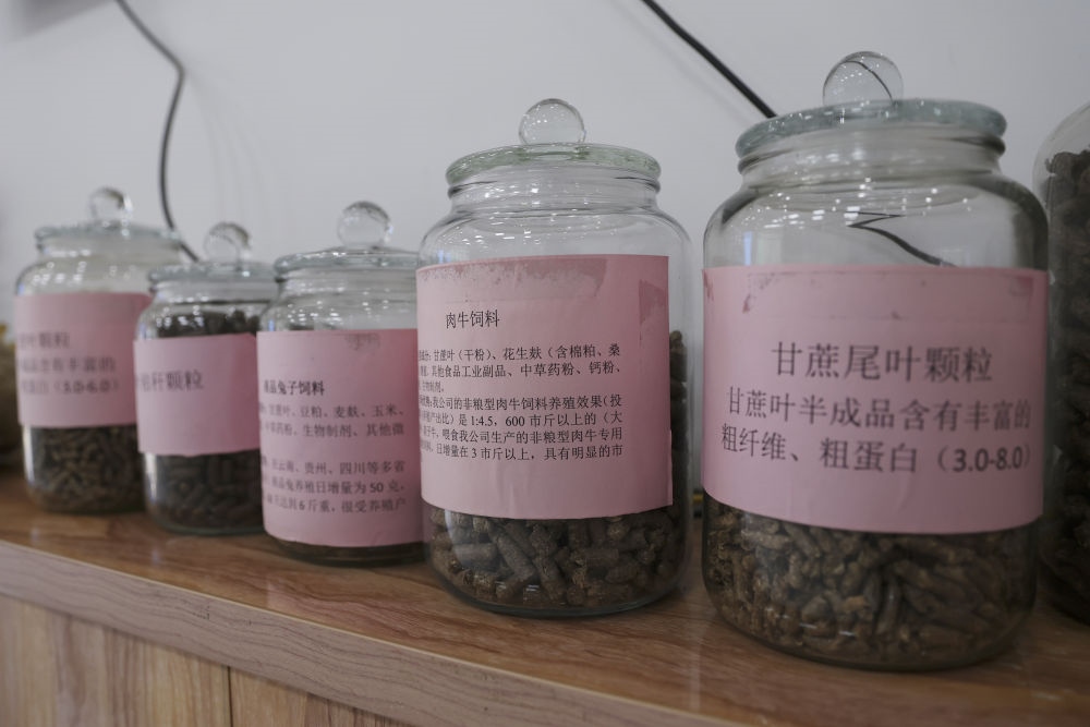 這是12月13日在來賓市興賓區(qū)小平陽鎮(zhèn)一家飼料廠拍攝的以甘蔗尾葉為原料制成的飼料。