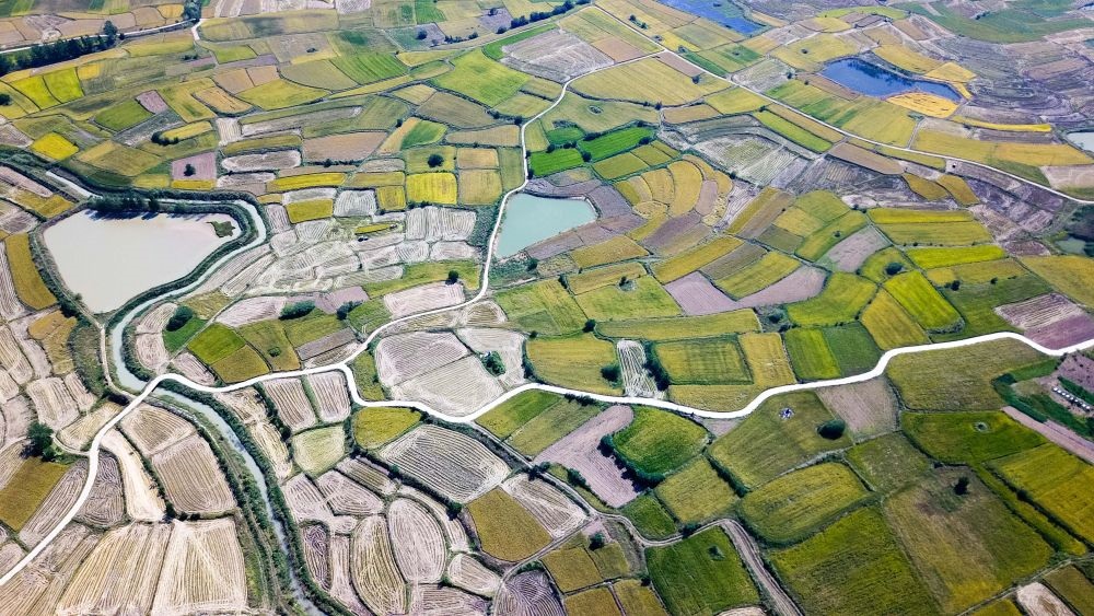 安徽省鳳陽縣小崗村的田野景象（2018年9月27日攝，無人機照片）。新華社記者 張端 攝