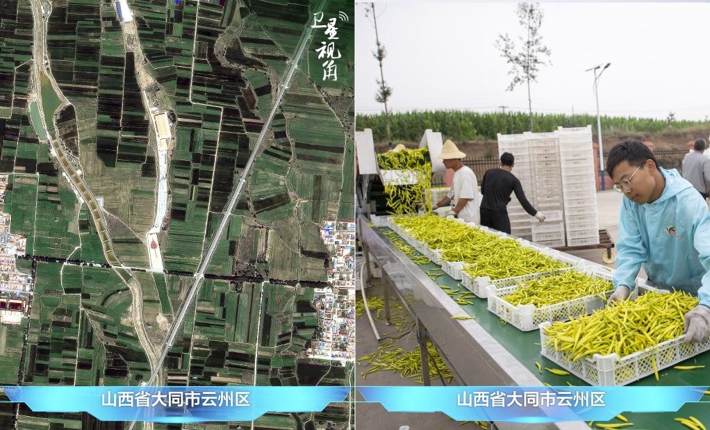 當(dāng)前，大同市開發(fā)黃花菜品、食品、飲品、功能食品、化妝品、文創(chuàng)產(chǎn)品六大系列130余種，全產(chǎn)業(yè)鏈產(chǎn)值超40億元。
