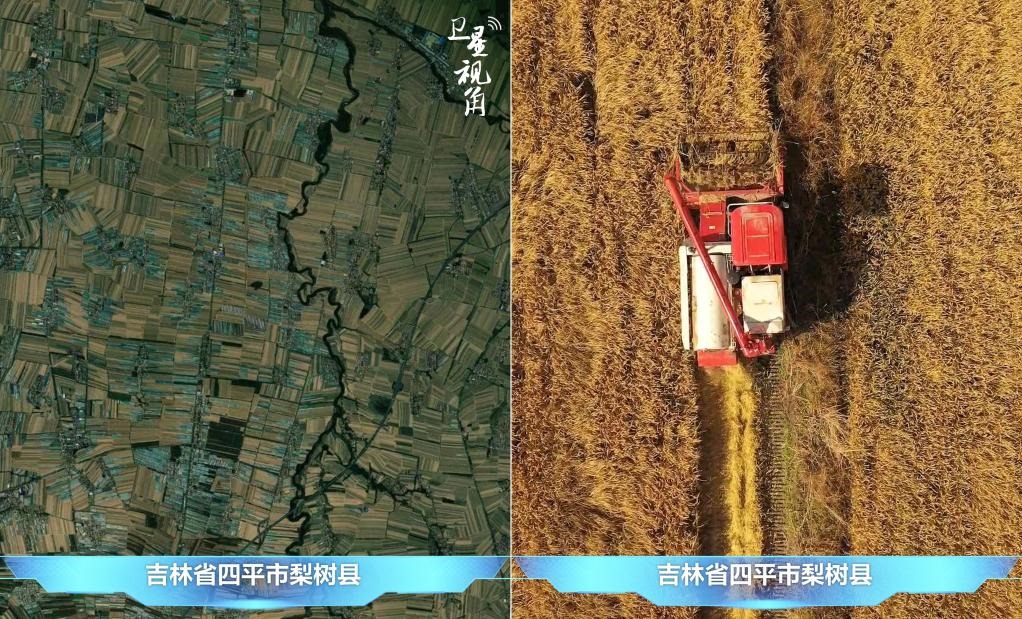 隨著現(xiàn)代化農(nóng)機(jī)普及應(yīng)用，保護(hù)性耕作“梨樹模式”得以大面積推廣，不僅使黑土地保護(hù)與利用持續(xù)深入，更為糧食作物高產(chǎn)穩(wěn)產(chǎn)助力。