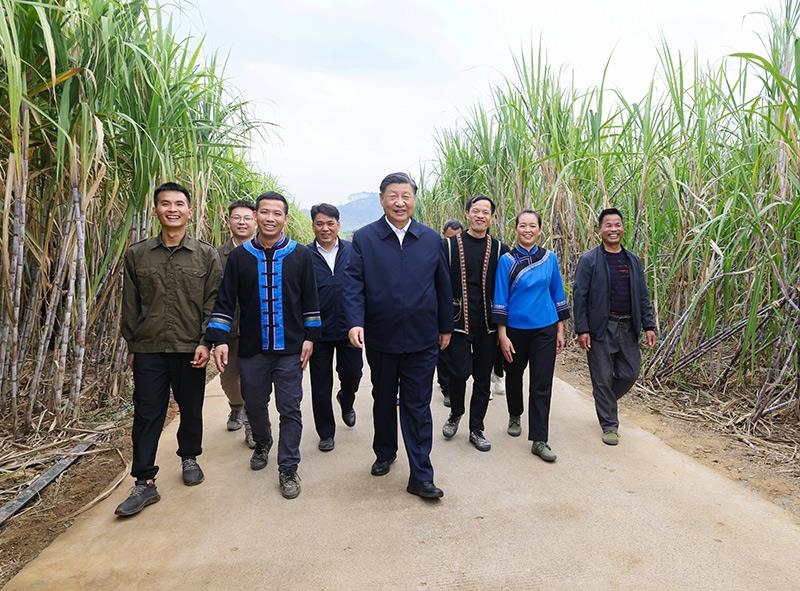 2023年12月14日，習(xí)近平總書記在廣西來賓市國家現(xiàn)代農(nóng)業(yè)產(chǎn)業(yè)園黃安優(yōu)質(zhì)“雙高”糖料蔗基地考察。