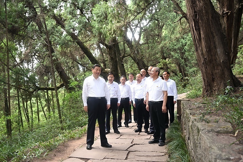 2023年7月25日，習(xí)近平總書記在四川廣元市劍閣縣翠云廊考察。新華社記者 謝環(huán)馳 攝