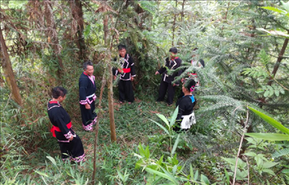 “瑤老”人民調(diào)解員翻山越嶺開展現(xiàn)場(chǎng)調(diào)解。