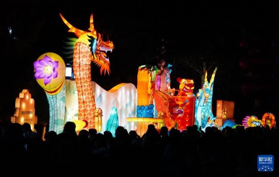 2月11日晚，人們在濟南市趵突泉公園觀賞花燈。