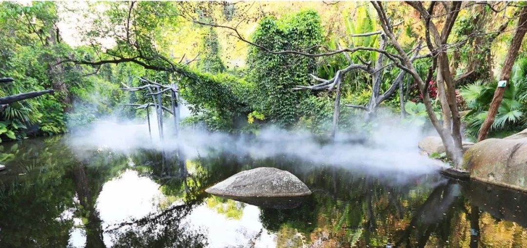 △鼓浪嶼-萬石山風(fēng)景名勝區(qū)重要組成部分廈門園林植物園熱門景點“雨林世界”。