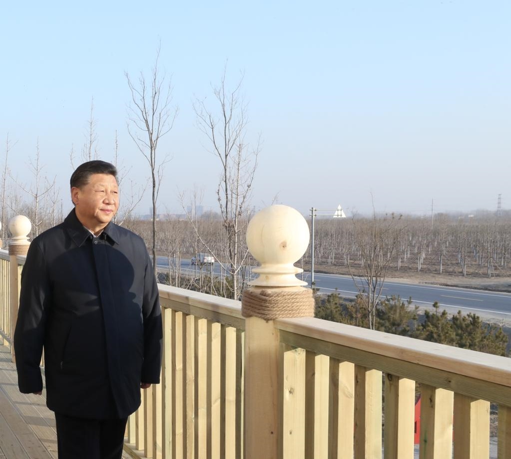2019年1月16日，在河北雄安新區(qū)“千年秀林”大清河片林一區(qū)造林區(qū)域，習(xí)近平總書記登上秀林驛站二層平臺(tái)遠(yuǎn)眺林區(qū)全貌。新華社記者 鞠鵬 攝