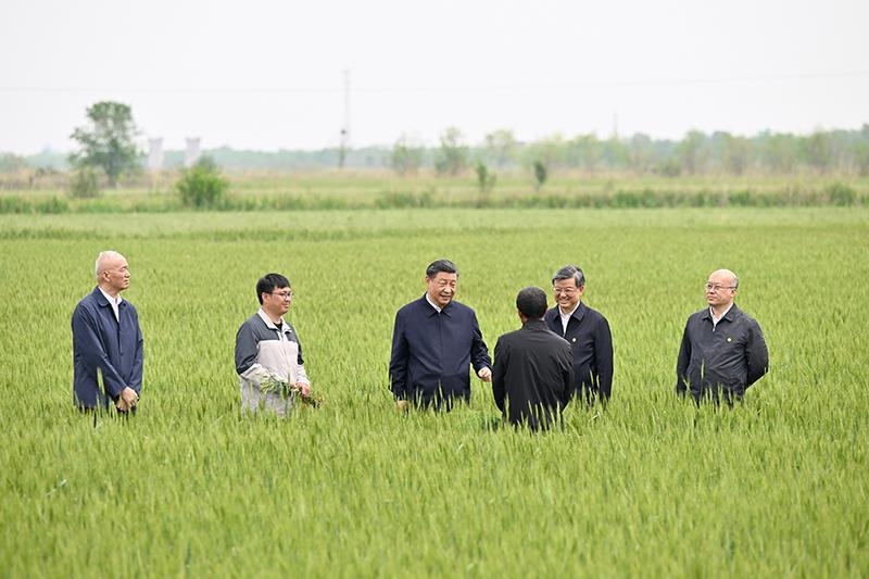 △2023年5月11日，習近平總書記在河北滄州黃驊市舊城鎮(zhèn)仙莊片區(qū)旱堿地麥田同種植戶、農(nóng)技專家親切交流。