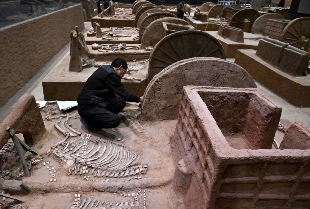 工作人員在殷墟博物館新館的展廳內(nèi)修復(fù)車馬遺跡（2月23日攝）。