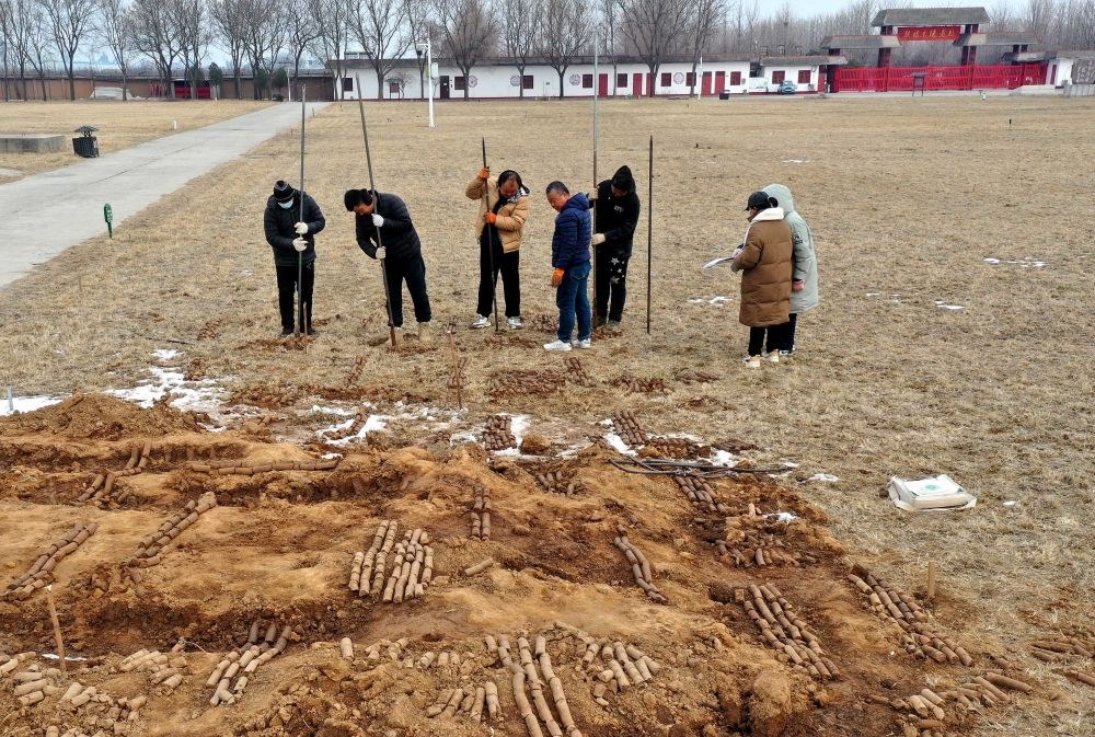 在殷墟王陵遺址，工作人員在勘探圍溝范圍（2月24日攝）。