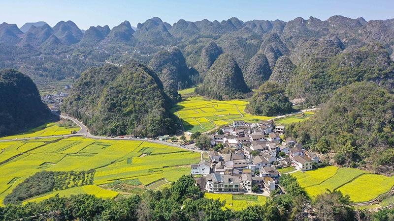 2024年2月17日，貴州省興義市萬峰林景區(qū)的油菜花海景色（無人機(jī)照片）。
